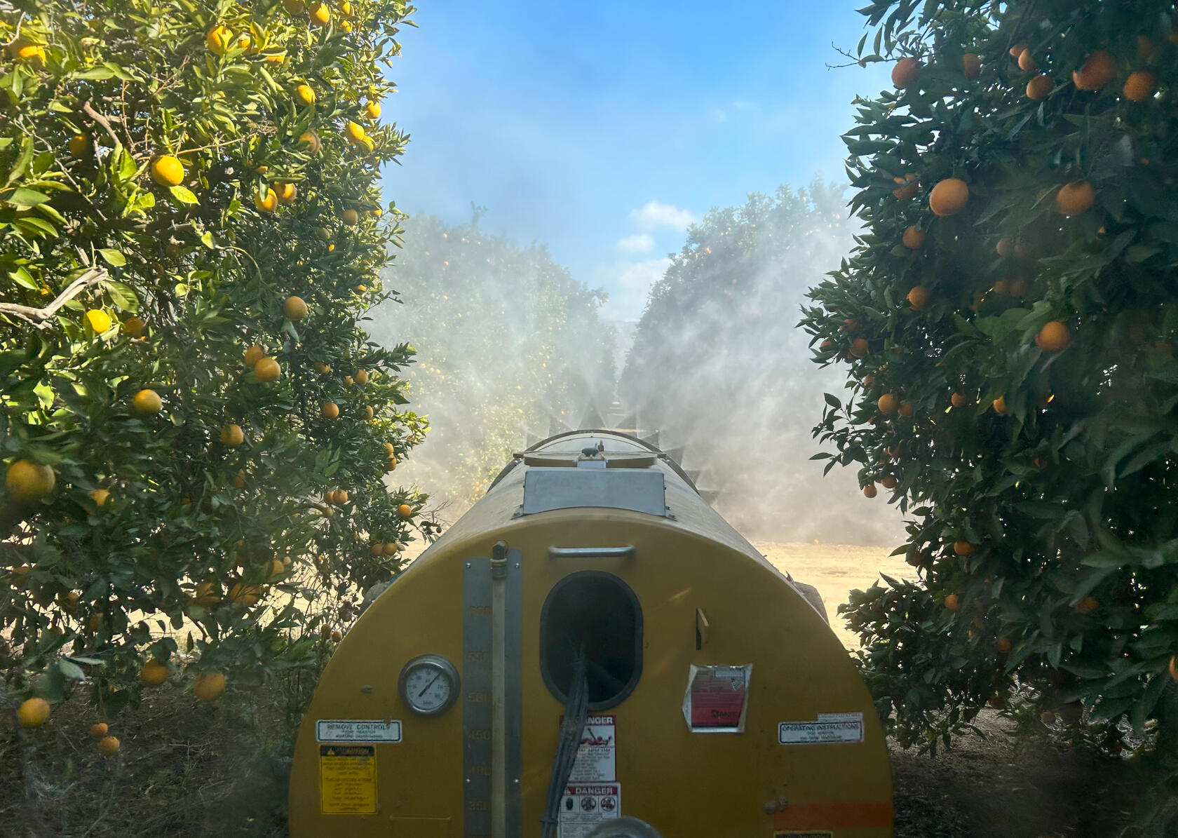 Spray Weed